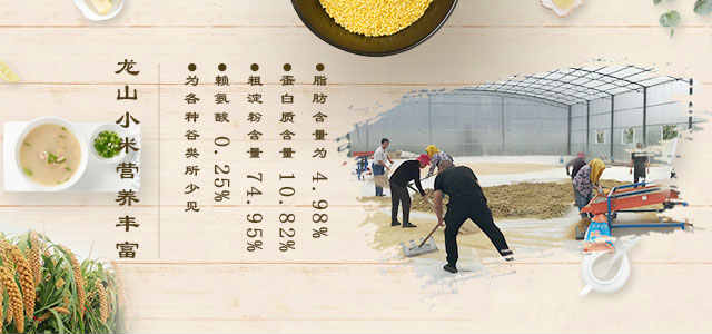 龙山小米营养丰富